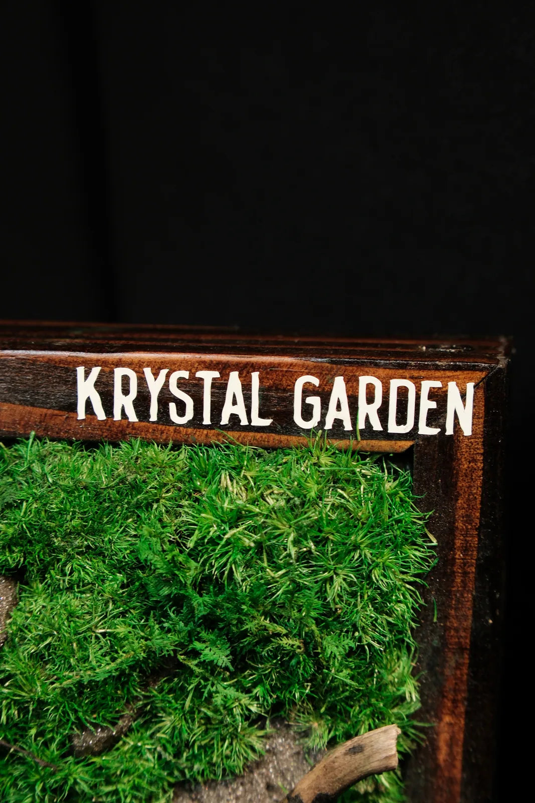Krystal Garden studio work