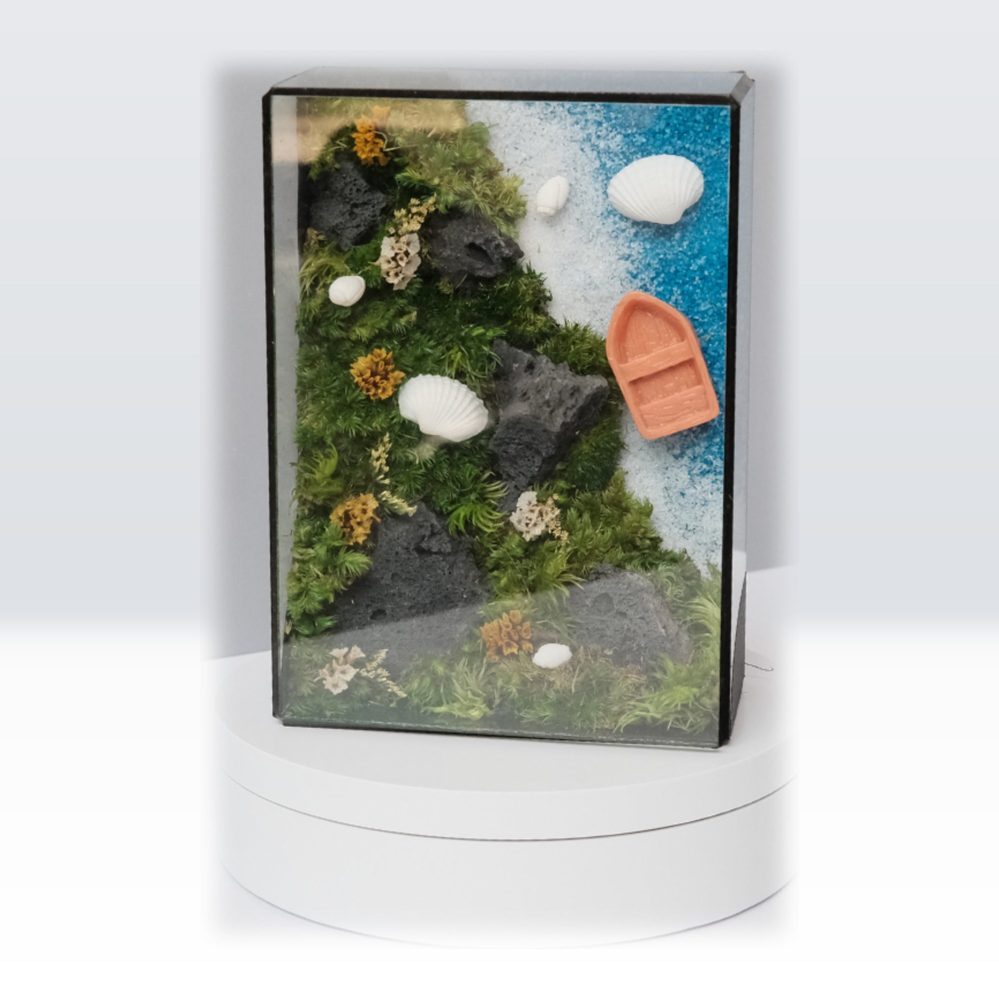 Glass Frame Moss Art