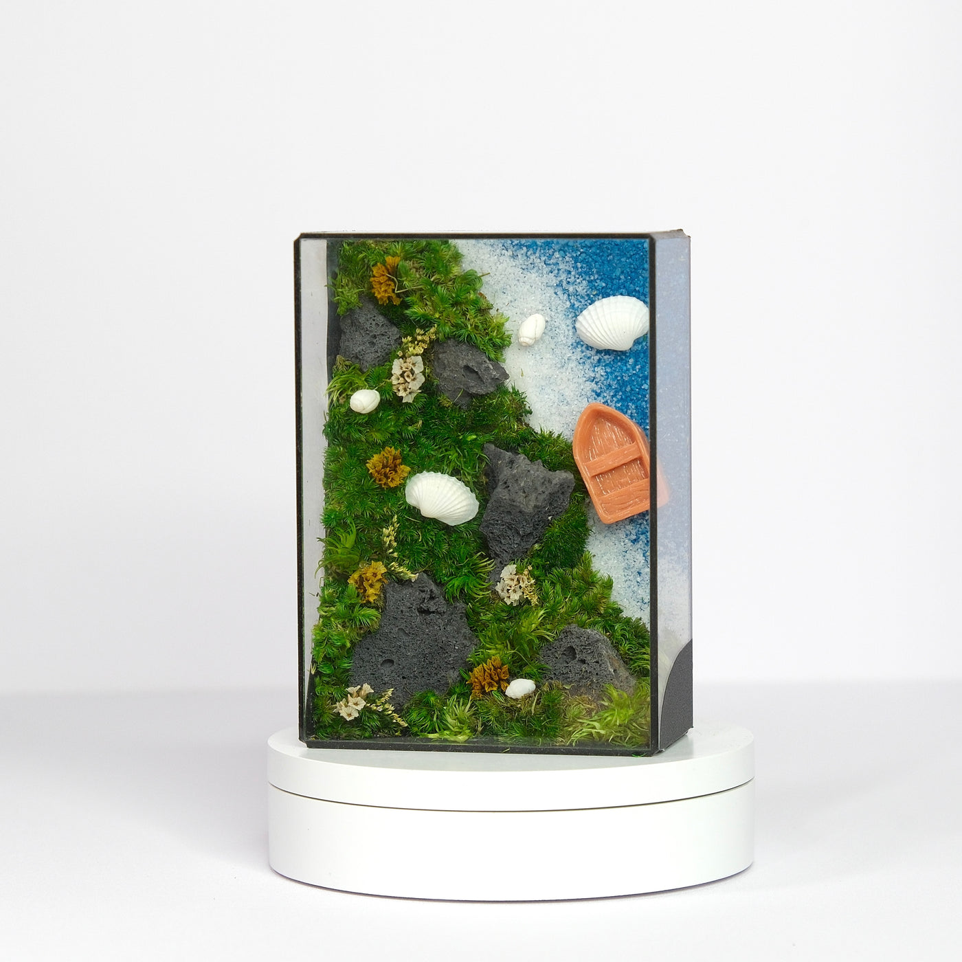 Coastal Moss Art | Desk Decor & Gift | Black Glass Frame