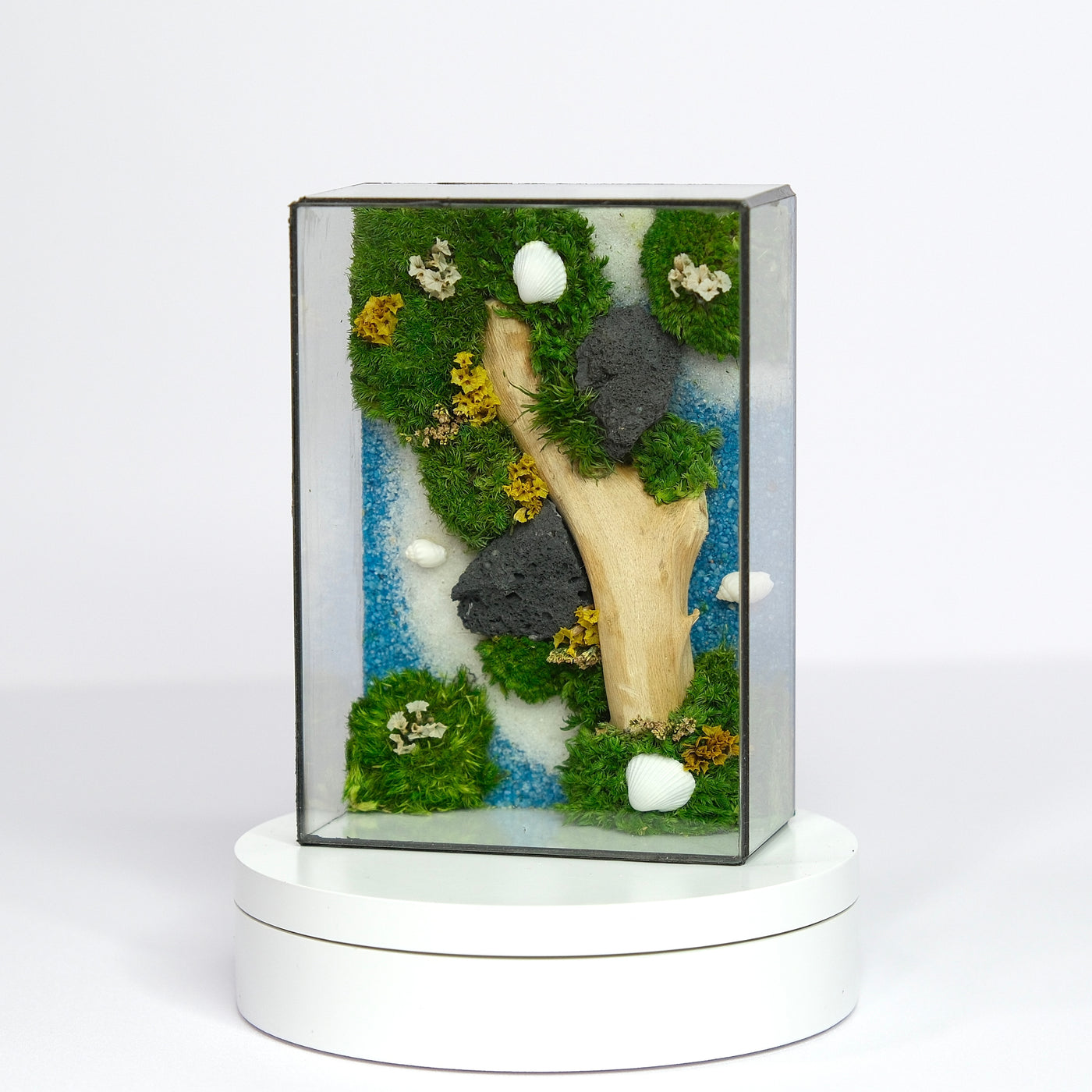 Forest Stream Moss Art | Desk Decor & Gift | Black Glass Frame