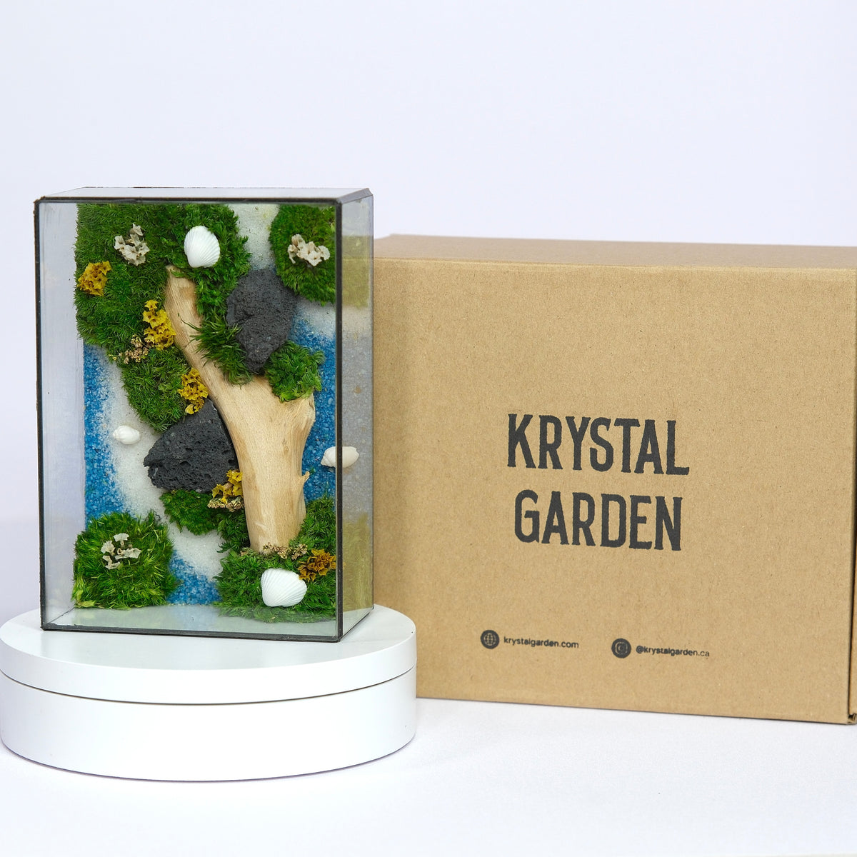 Forest Stream Moss Art | Desk Decor & Gift | Black Glass Frame