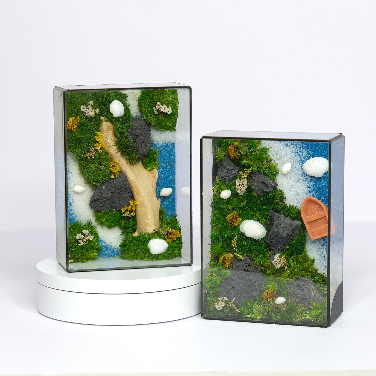 Forest Stream Moss Art | Desk Decor & Gift | Black Glass Frame