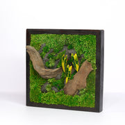 Golden Croton Moss Wall Art | Wall & Desk Display | Dark Wood Frame