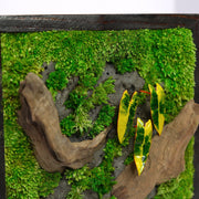 Golden Croton Moss Wall Art | Wall & Desk Display | Dark Wood Frame