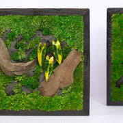 Golden Croton Moss Wall Art | Wall & Desk Display | Dark Wood Frame