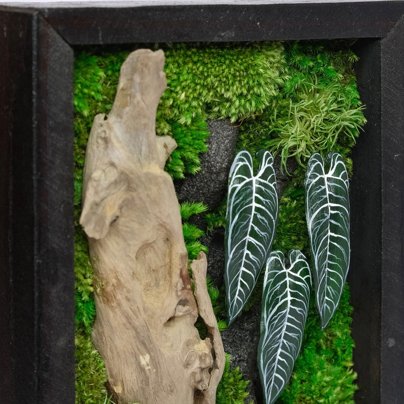 Signature Moss Wall Art | Wall & Desk Display | Branded Walnut Frame