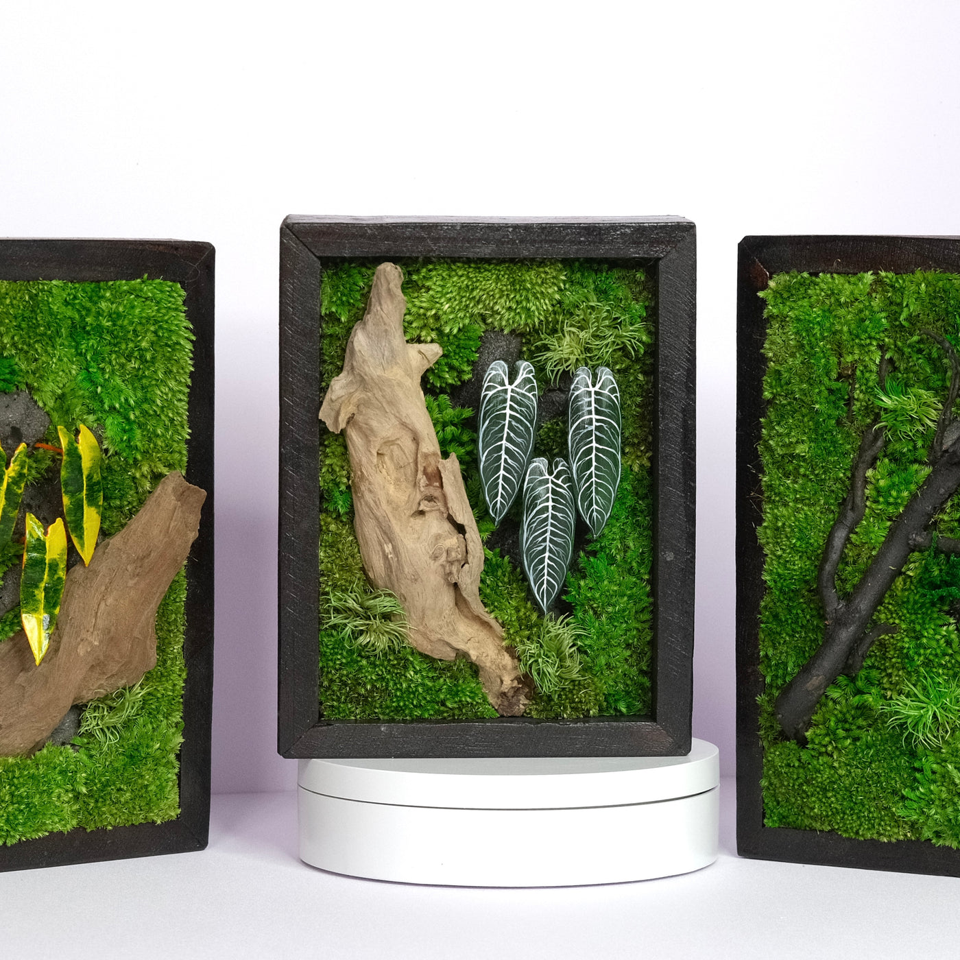 Signature Moss Wall Art | Wall & Desk Display | Branded Walnut Frame
