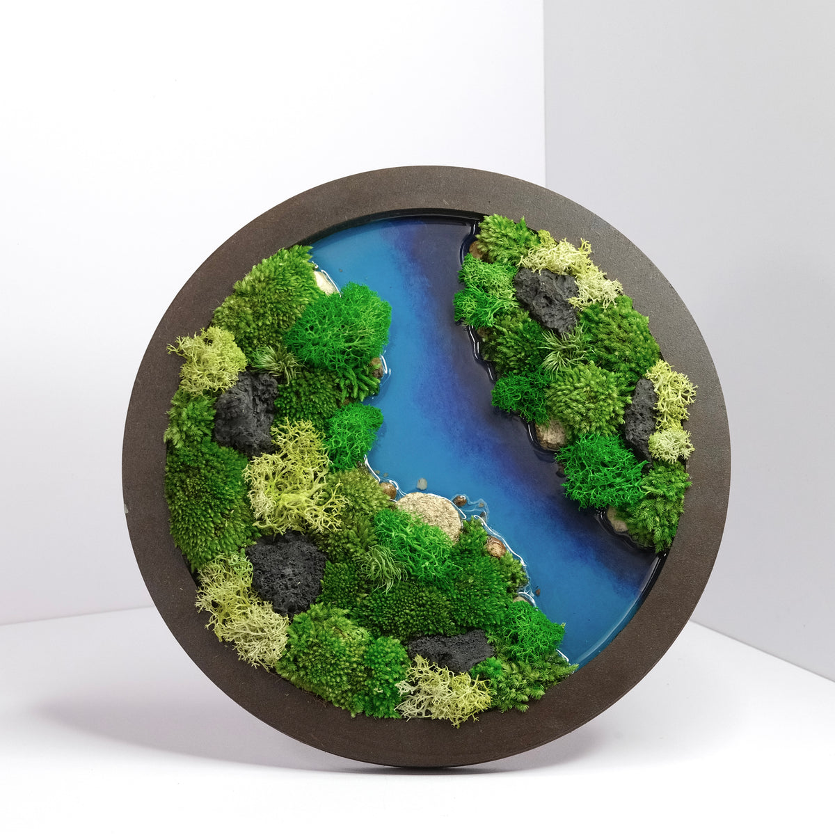 Round Moss Wall Art | Wall & Desk Display | Walnut Wood Circle Frame
