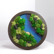 Round Moss Wall Art | Wall & Desk Display | Walnut Wood Circle Frame