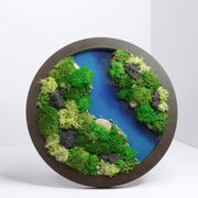 Round Moss Wall Art | Wall & Desk Display | Walnut Wood Circle Frame