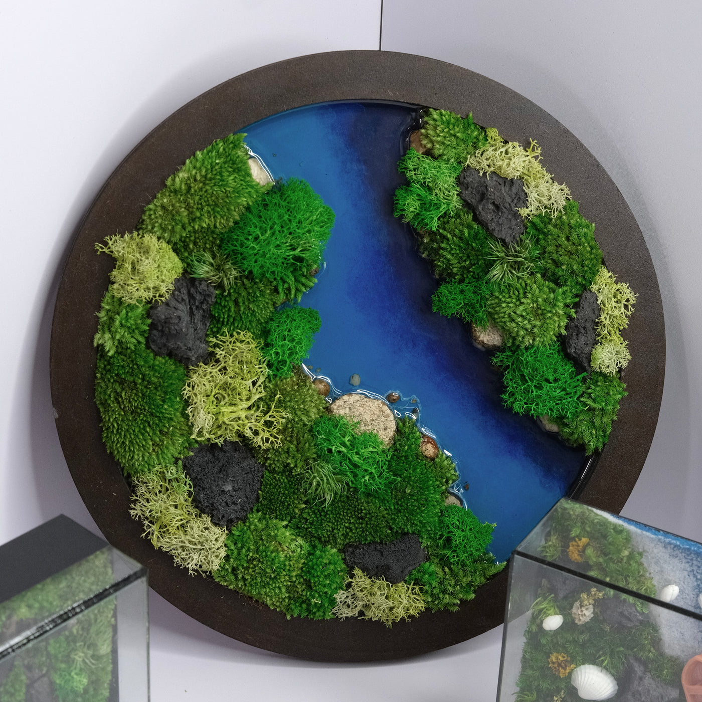 Round Moss Wall Art | Wall & Desk Display | Walnut Wood Circle Frame