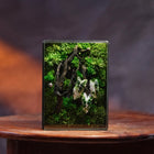 White Alocasia Moss Terrarium Art | Desk & Shelf Display | Glass Shadow Box
