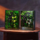 White Alocasia Moss Terrarium Art | Desk & Shelf Display | Glass Shadow Box