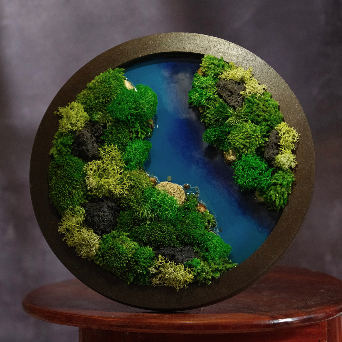 Round Moss Wall Art | Wall & Desk Display | Walnut Wood Circle Frame