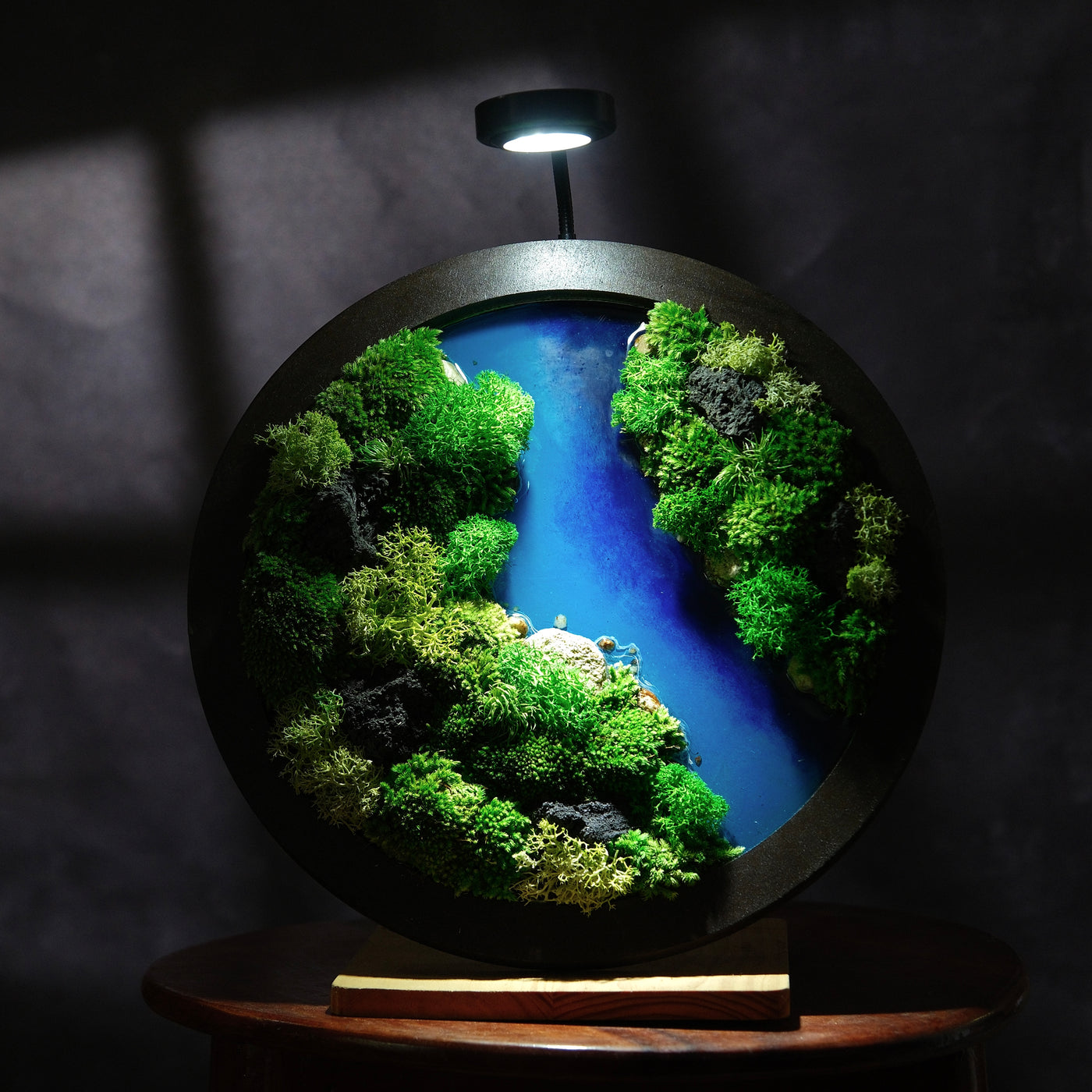 Round Moss Wall Art | Wall & Desk Display | Walnut Wood Circle Frame