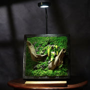Golden Croton Moss Wall Art | Wall & Desk Display | Dark Wood Frame