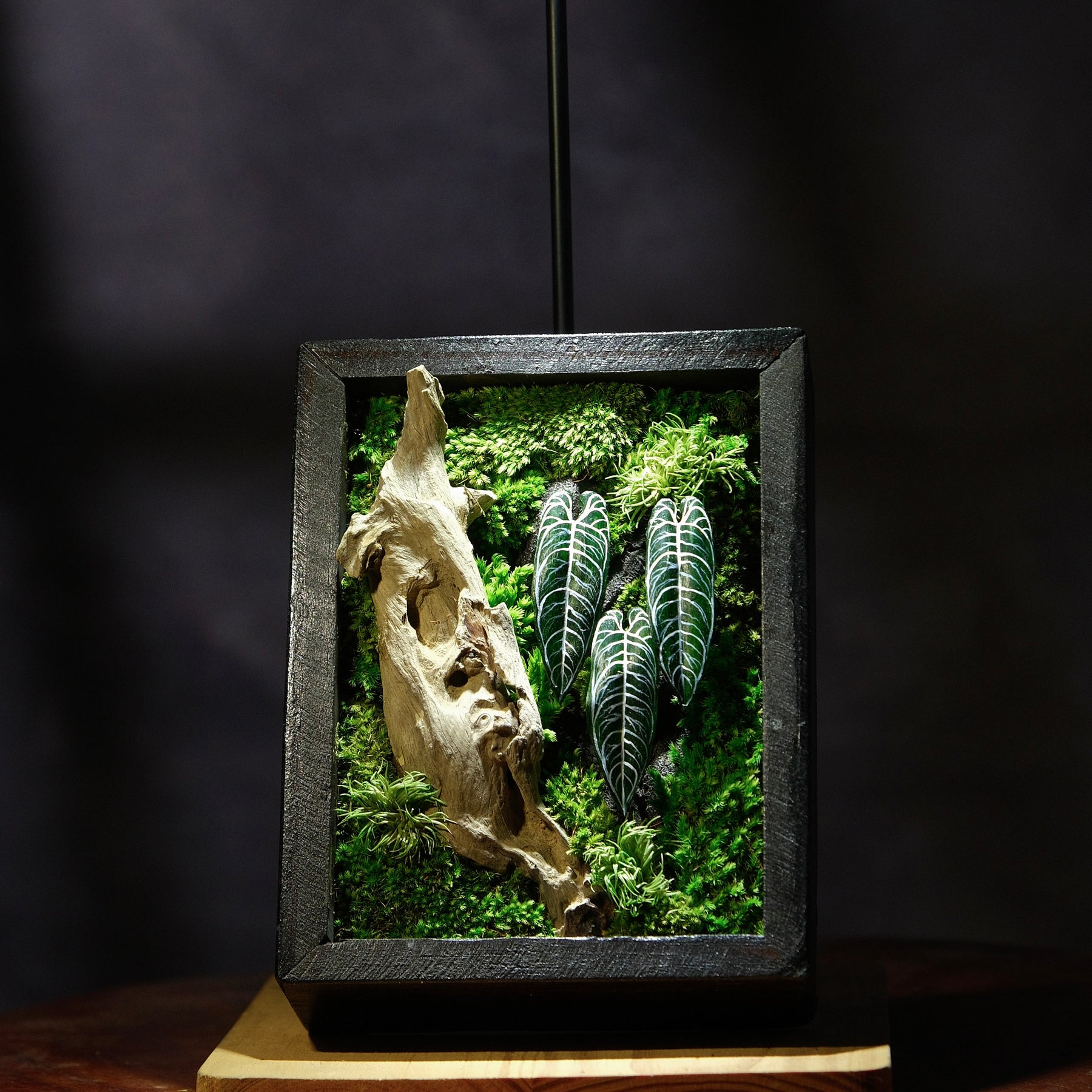 Signature Moss Wall Art | Wall & Desk Display | Branded Walnut Frame