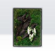 White Alocasia Moss Terrarium Art | Desk & Shelf Display | Glass Shadow Box