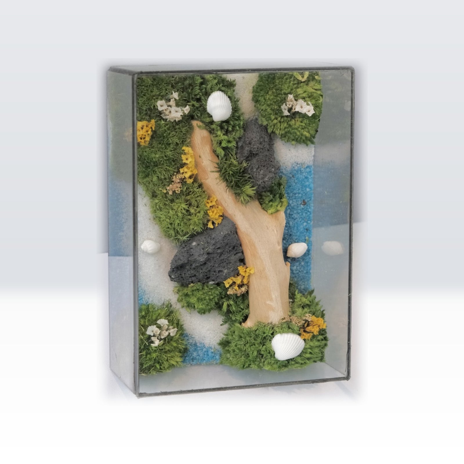 Forest Stream Moss Art | Desk Decor & Gift | Black Glass Frame