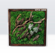 Silver Alocasia Moss Wall Art | Wall & Desk Display | Dark Wood Frame