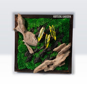 Golden Croton Moss Wall Art | Wall & Desk Display | Dark Wood Frame