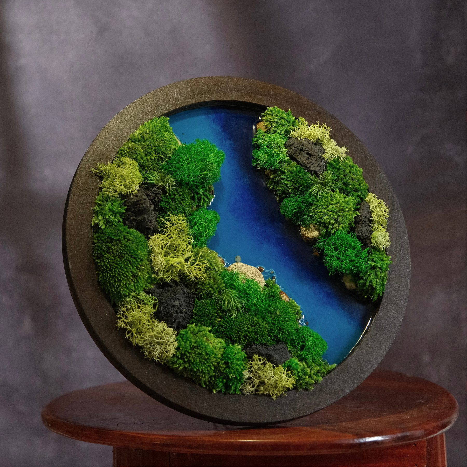 Round Moss Wall Art | Wall & Desk Display | Walnut Wood Circle Frame