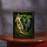 Signature Moss Wall Art | Wall & Desk Display | Branded Walnut Frame