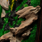 Handcrafted Preserved Moss Wall Art – Natural Wood Frame | Zero Maintenance Home Décor