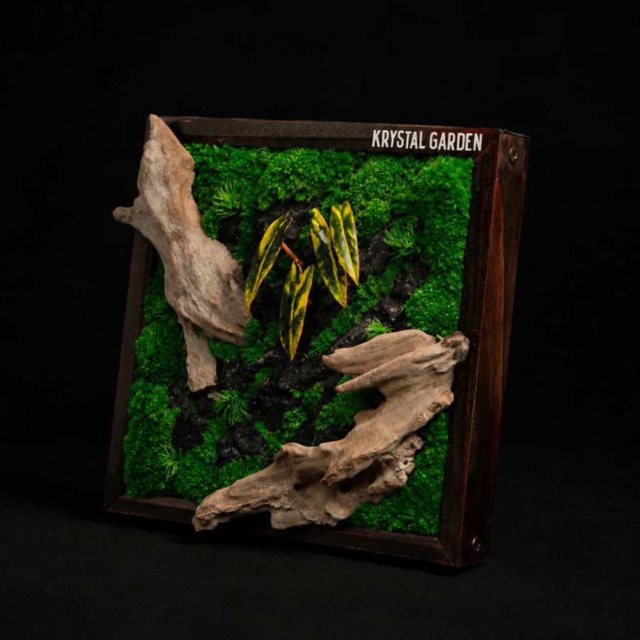 Handcrafted Preserved Moss Wall Art – Natural Wood Frame | Zero Maintenance Home Décor