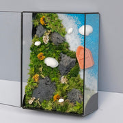 Coastal Moss Wall Art – Preserved Moss & Ocean Scene | Black Glass Frame