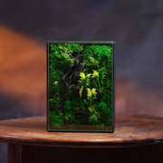 Jungle Terrarium Moss Art | Desk & Shelf Display | Glass Shadow Box