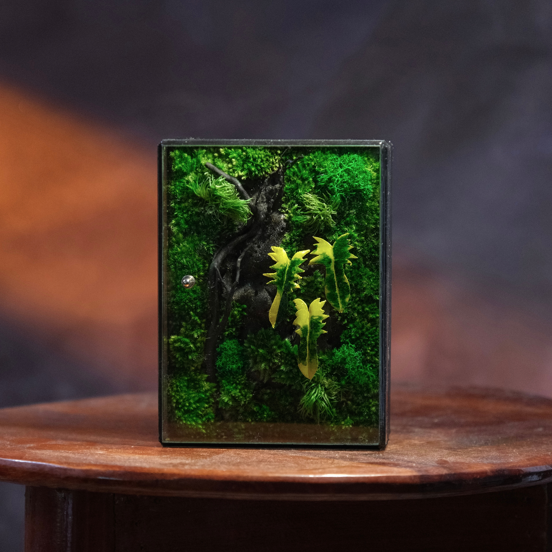 Jungle Terrarium Moss Art | Desk & Shelf Display | Glass Shadow Box