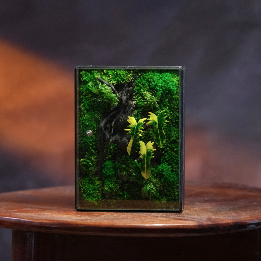 Jungle Terrarium Moss Art | Desk & Shelf Display | Glass Shadow Box