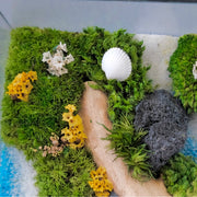 Forest Stream Moss Wall Art – Natural Driftwood & Preserved Moss | Black Glass Frame