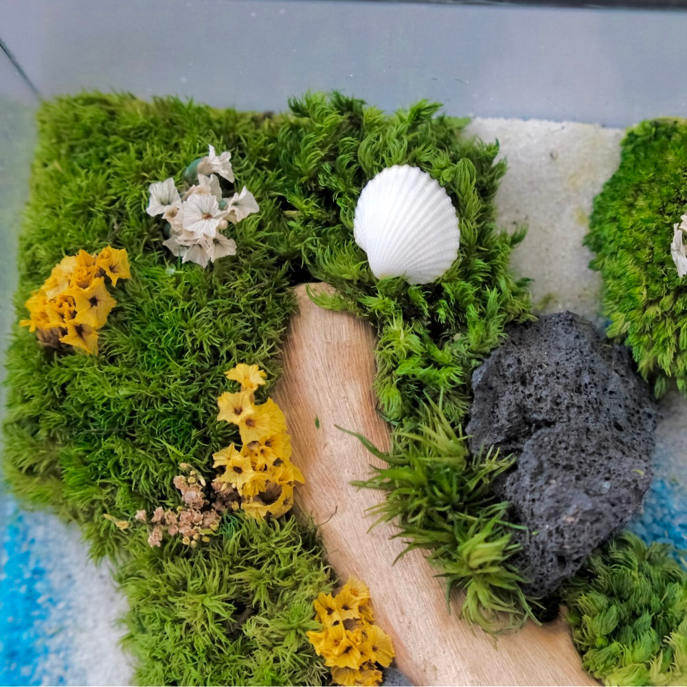Forest Stream Moss Art | Desk Decor & Gift | Black Glass Frame