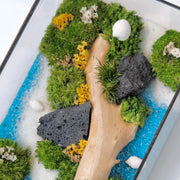 Forest Stream Moss Wall Art – Natural Driftwood & Preserved Moss | Black Glass Frame