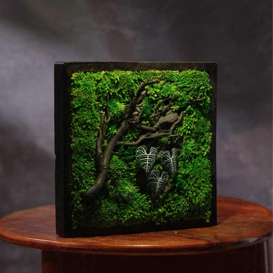 Silver Alocasia Moss Wall Art | Wall & Desk Display | Dark Wood Frame