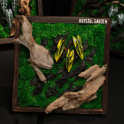 Handcrafted Preserved Moss Wall Art – Natural Wood Frame | Zero Maintenance Home Décor