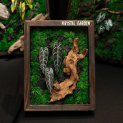Handcrafted Preserved Moss Wall Art – Ebony Anthurium