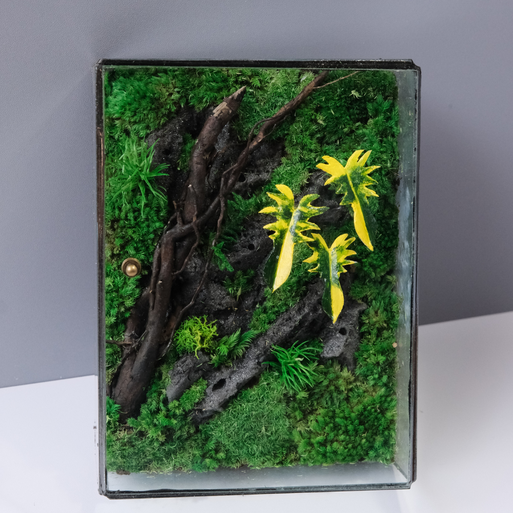 Jungle Terrarium Moss Wall Art – Driftwood & Tropical Plants | Glass Shadow Box Frame