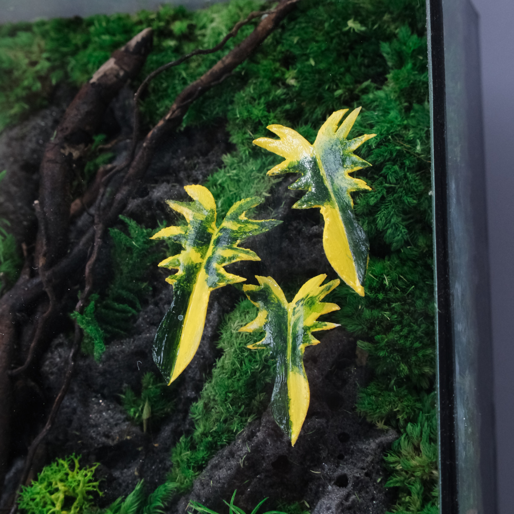 Jungle Terrarium Moss Art | Desk & Shelf Display | Glass Shadow Box