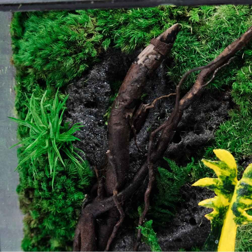 Jungle Terrarium Moss Art | Desk & Shelf Display | Glass Shadow Box