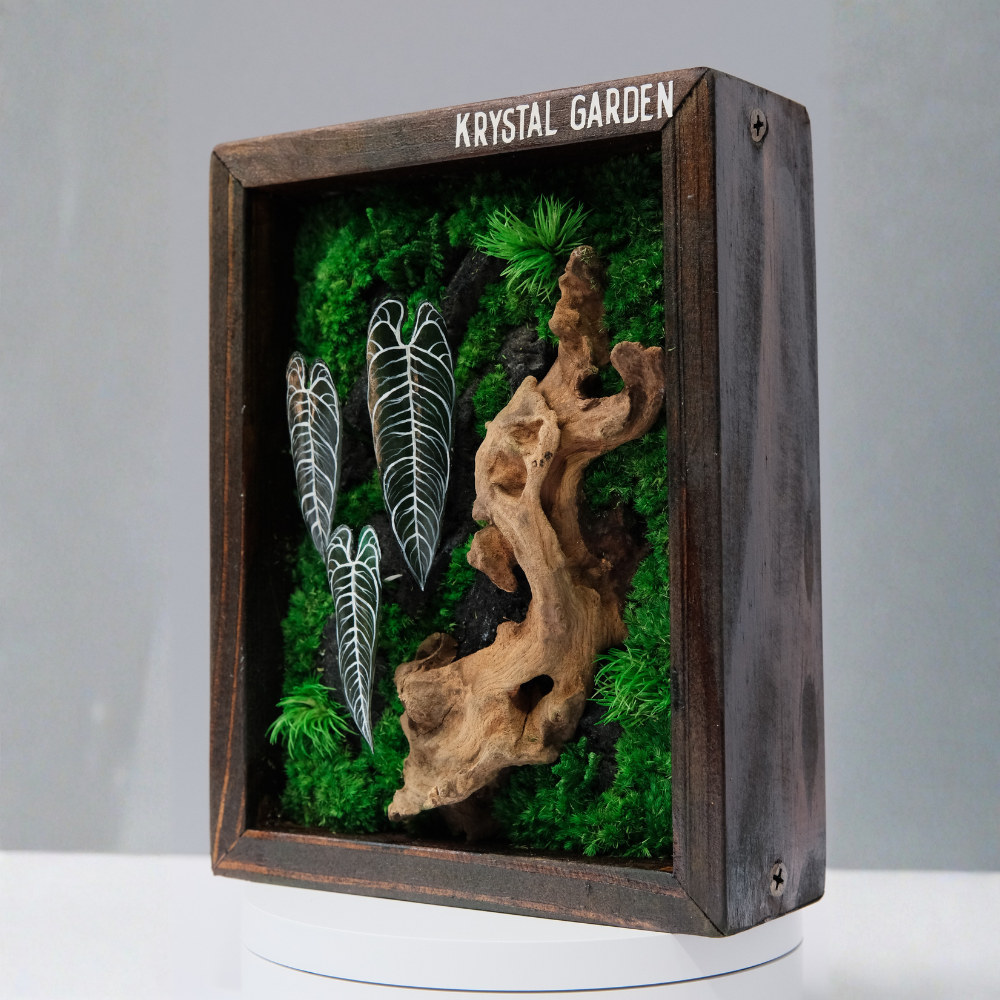 Signature Moss Wall Art | Wall & Desk Display | Branded Walnut Frame