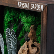 Signature Moss Wall Art – Dark Forest & Driftwood | Branded Wood Frame | Krystal Garden