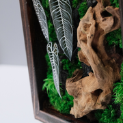 Signature Moss Wall Art – Dark Forest & Driftwood | Branded Wood Frame | Krystal Garden