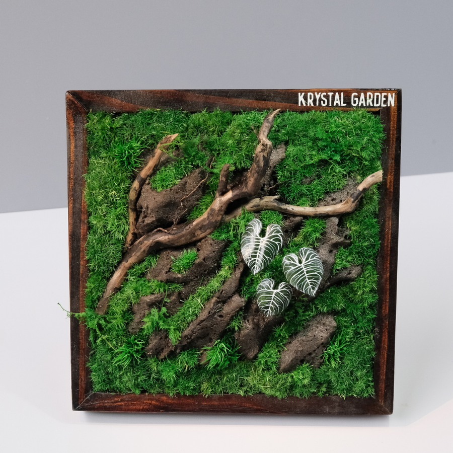 Silver Alocasia Moss Wall Art – Driftwood & Preserved Moss | Dark Wood Frame