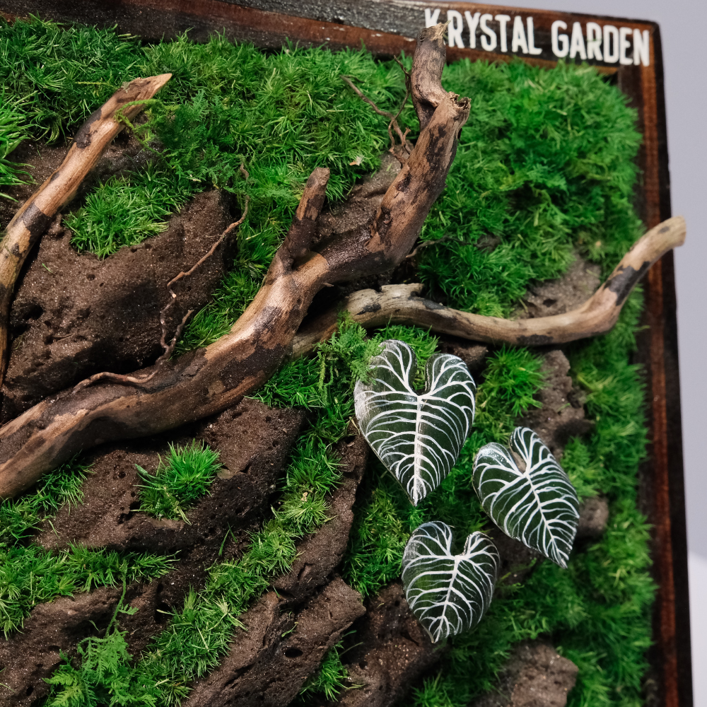 Silver Alocasia Moss Wall Art – Driftwood & Preserved Moss | Dark Wood Frame