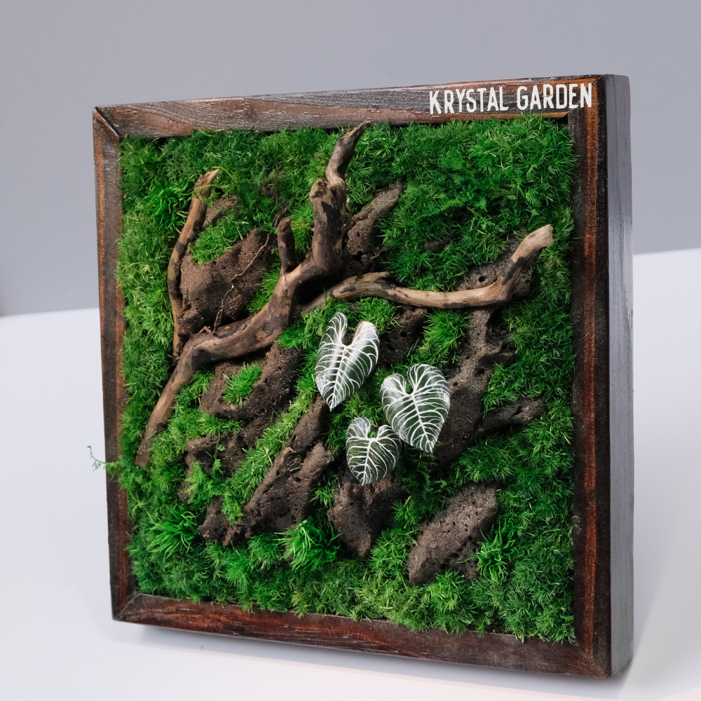 Silver Alocasia Moss Wall Art – Driftwood & Preserved Moss | Dark Wood Frame