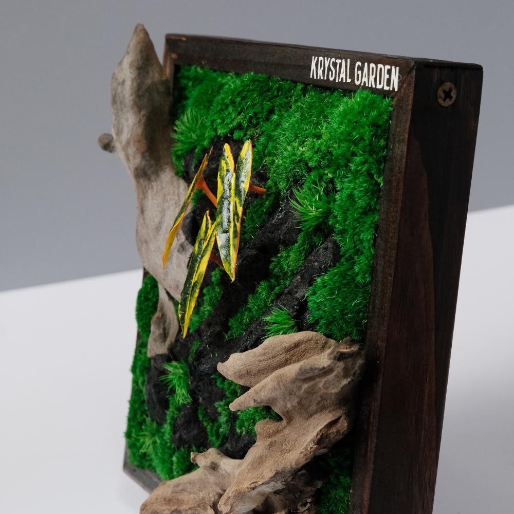 Golden Croton Moss Wall Art – Driftwood & Preserved Moss | Dark Wood Frame