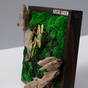 Golden Croton Moss Wall Art – Driftwood & Preserved Moss | Dark Wood Frame